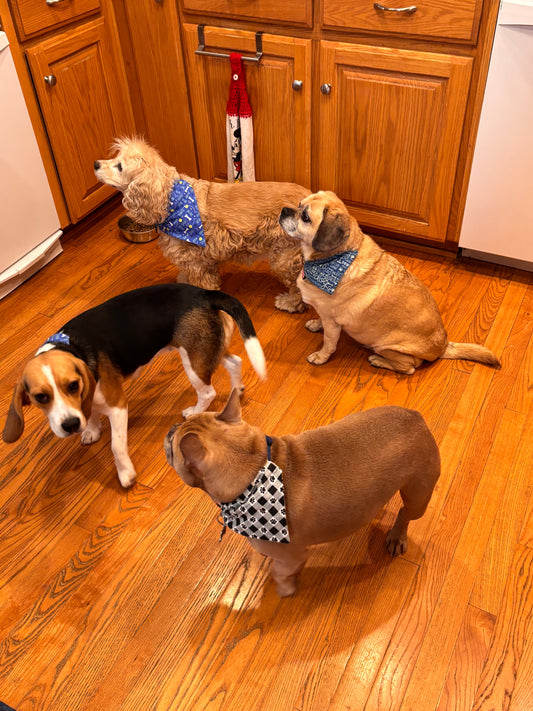 Hobby Themed Pet Scarves